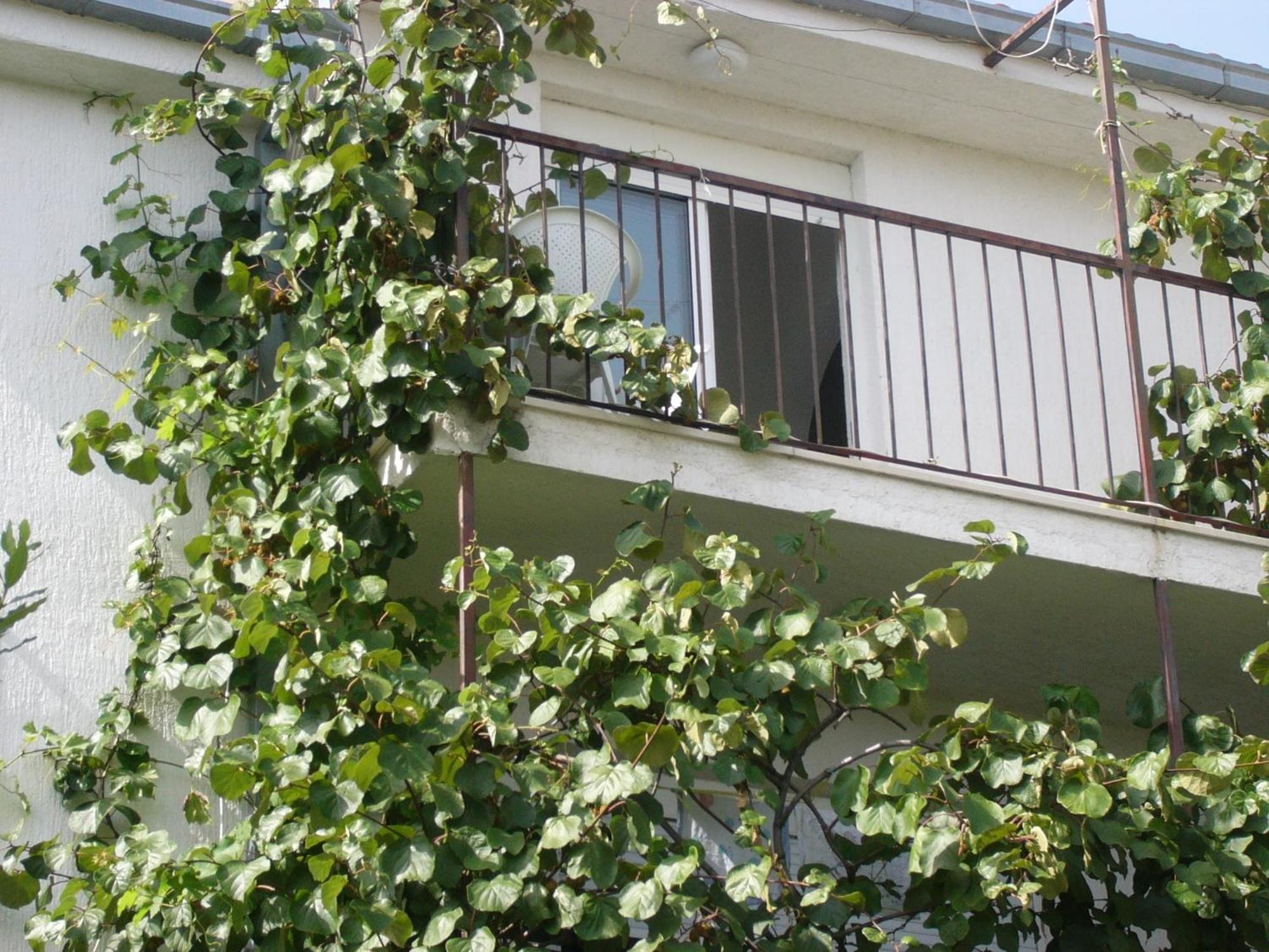 Apartments Prizmic Podstrana Buitenkant foto